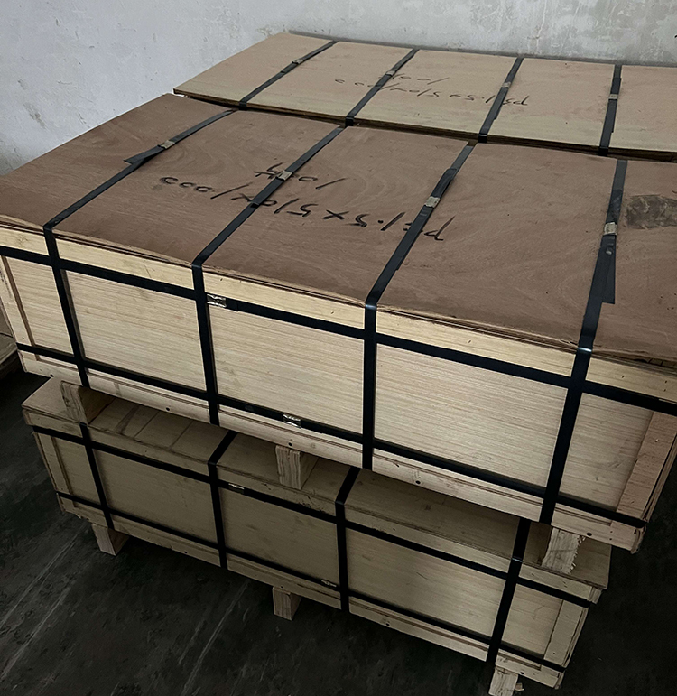 In Feb, HOTSALES, Dubai customer order 500pcs zinc plates.