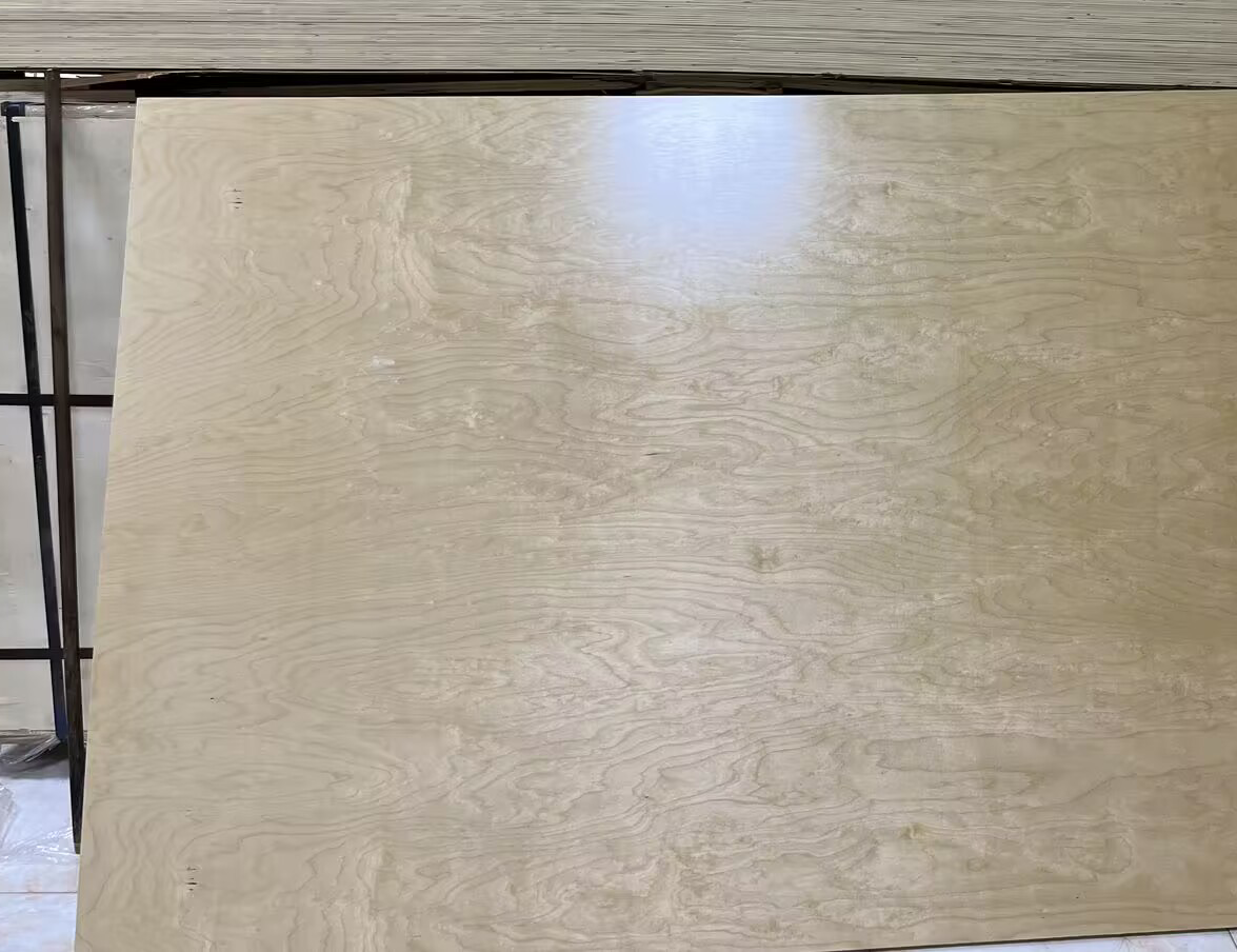 Customer in Uzbekistan ordered 200 pcs plywoods