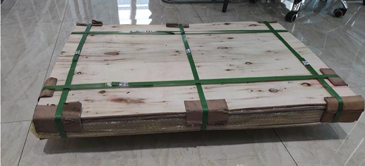 Italy customer order 10pcs Magnesium plates